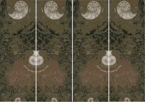 رخام مغربي بني من فوسيل غير مطابق