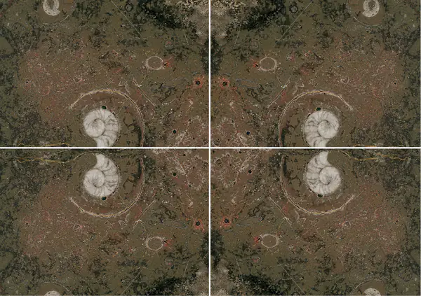 رخام مغربي بني من فوسيل عروق متتابعة