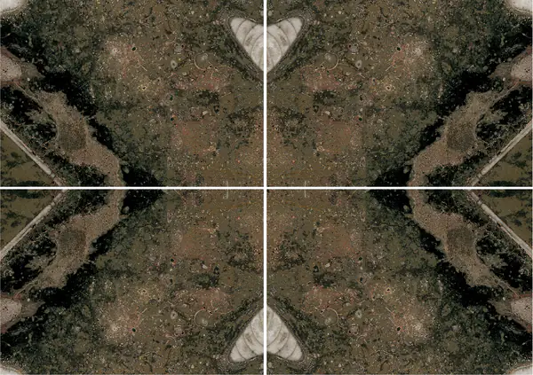 رخام مغربي بني من فوسيل عروق غير متطابقة