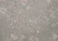 Fossil Limestone Portuguese