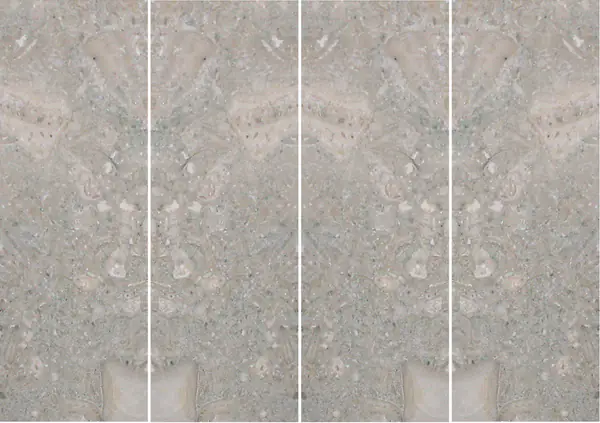 حجر جيري أحفوري برتغالي غير مطابق