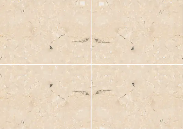 رخام الجلالة المصري عروق متتابعة