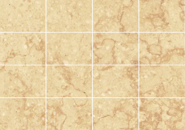 رخام جيالو أتلانتيد المغربي مطابقة ربع كتاب