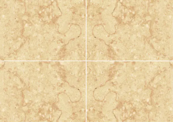 رخام جيالو أتلانتيد المغربي عروق متتابعة