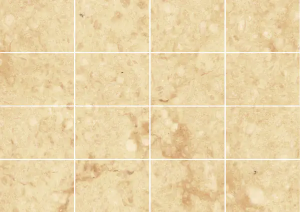 رخام جيالو كليوباترا المصري مطابقة ربع كتاب