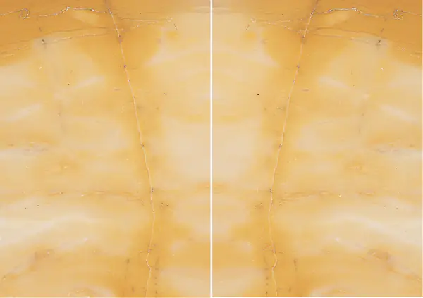 رخام جيالو سيينا الإيطالي مطابقة ربع كتاب