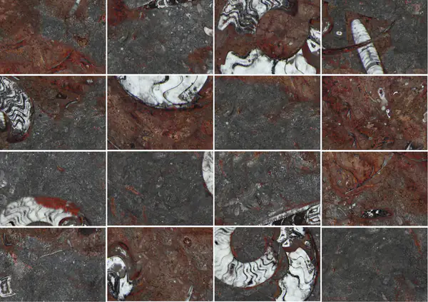 رخام مغربي من نوع جران فوسيل مطابقة كتاب مفتوح
