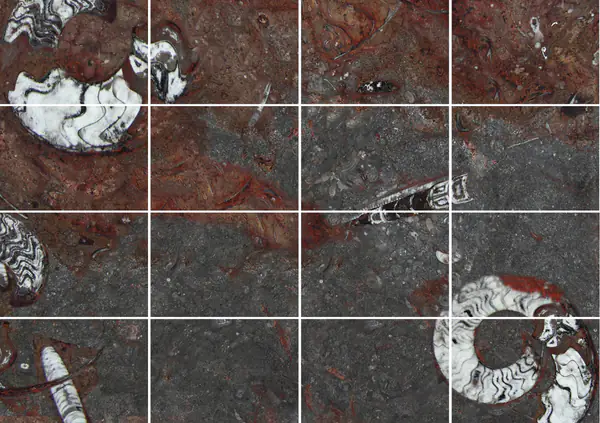 رخام مغربي من نوع جران فوسيل مطابقة ربع كتاب