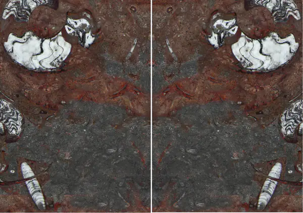 رخام مغربي من نوع جران فوسيل مطابقة ربع كتاب