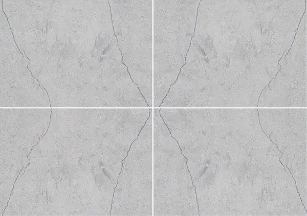 حجر جيري ثالا الرمادي التونسي عروق متتابعة