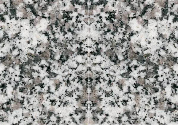 جرانيت إسباني غريجيو مالاغا مطابقة ربع كتاب