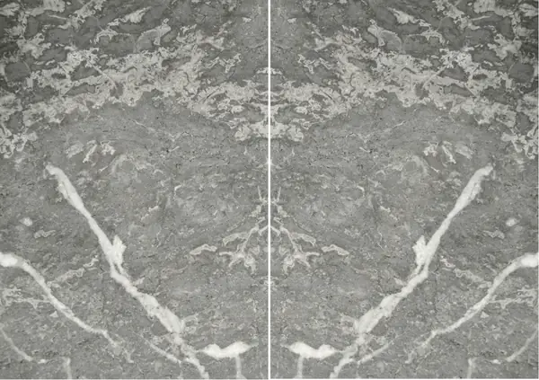 رخام جريس دي سافوي الفرنسي مطابقة ربع كتاب