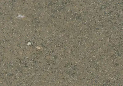 gris st. jacques french limestone