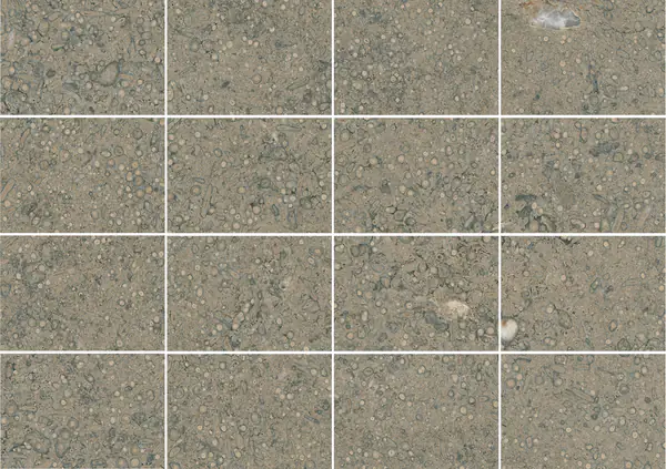 حجر جيري فرنسي غريس سان جاك مطابقة كتاب مزدوج مفتوح