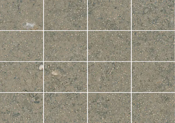 حجر جيري فرنسي غريس سان جاك مطابقة ربع كتاب