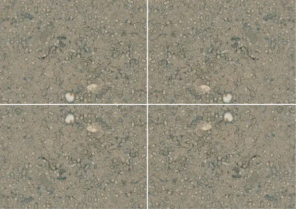 حجر جيري فرنسي غريس سان جاك عروق متتابعة