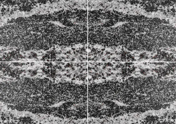 التندرا الجليدية (الميجمايت الأمفيبوليت الغني بالعقيق) الجرانيت الروسي عروق متتابعة