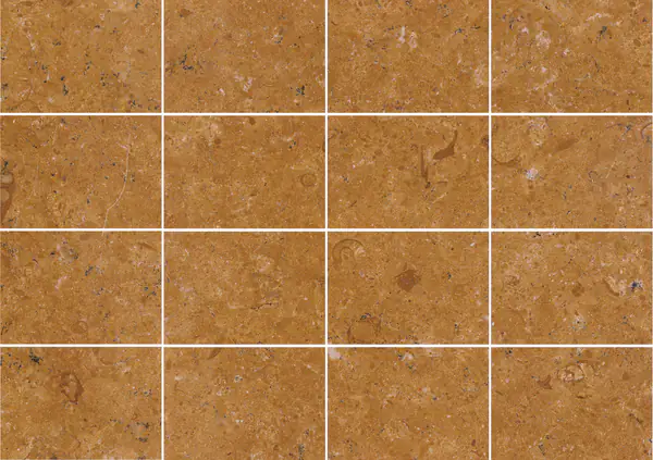 رخام إندوس جولد الباكستاني مطابقة كتاب مزدوج مفتوح