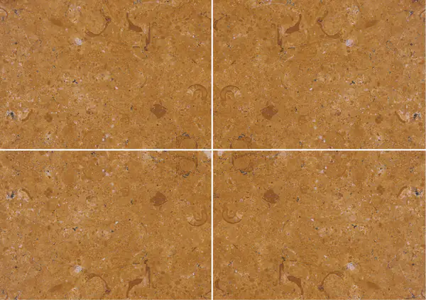 رخام إندوس جولد الباكستاني عروق متتابعة