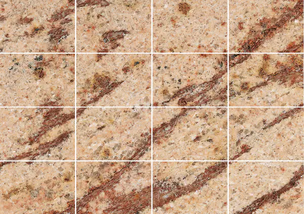 جرانيت عاجي بني هندي مطابقة ربع كتاب