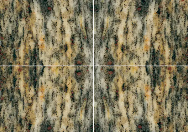 جرانيت جوبرانا سان رافائيل البرازيلي عروق متتابعة