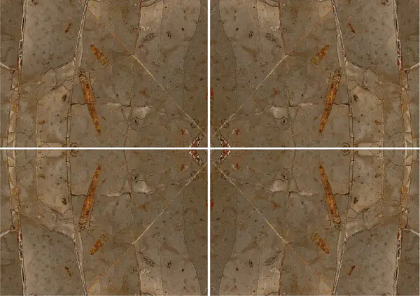 رخام جراسيك براون المغربي عروق غير متطابقة