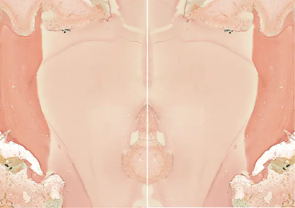 رخام ليبرتي الإيطالي مطابقة ربع كتاب