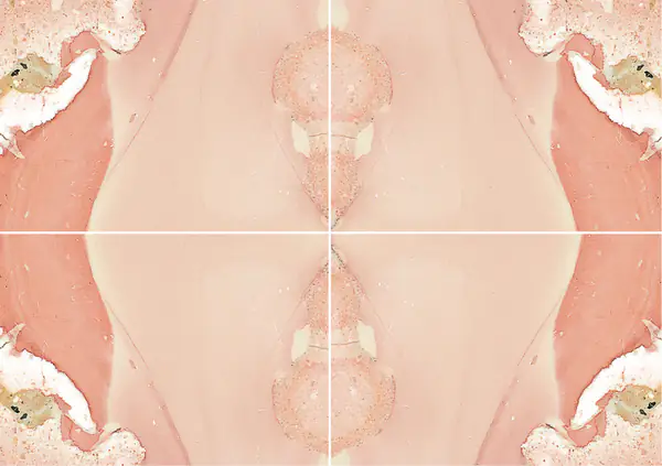 رخام ليبرتي الإيطالي عروق متتابعة