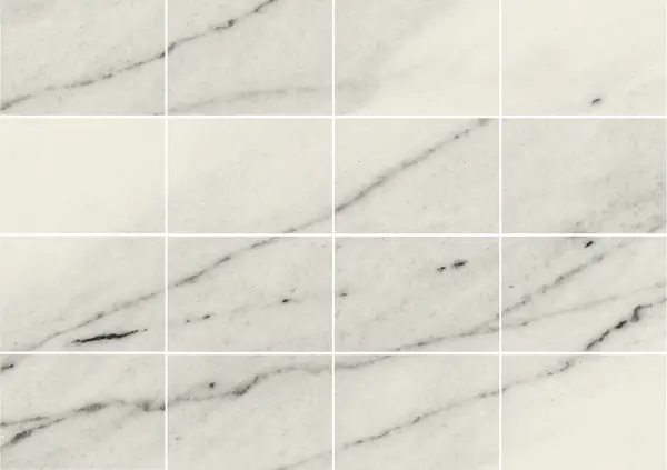 رخام لينكولن الأمريكي مطابقة كتاب مزدوج مفتوح