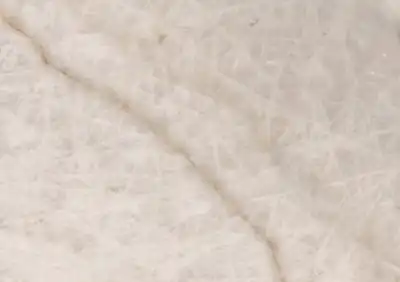 lumix brazilian quartzite