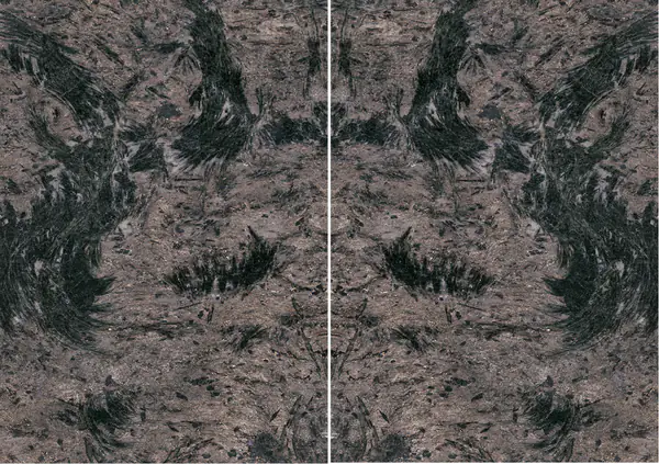 جرانيت صيني خسوف القمر مطابقة ربع كتاب