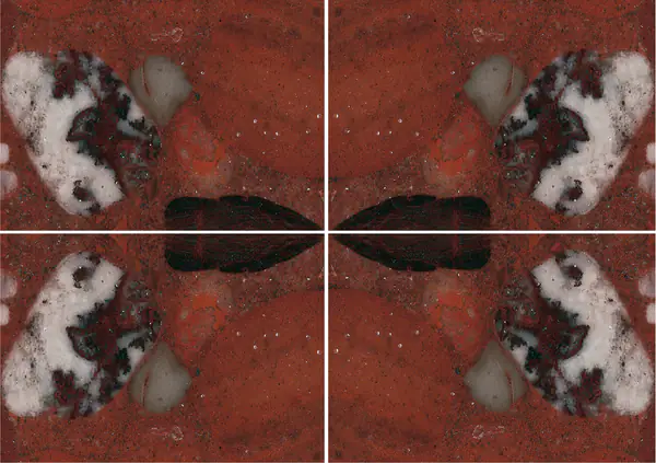 جرانيت ماريناس الأحمر البرازيلي عروق غير متطابقة