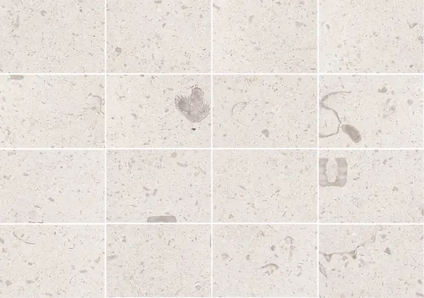 حجر جيري فرنسي من ماسانجيس مطابقة كتاب مفتوح