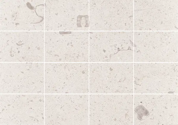 حجر جيري فرنسي من ماسانجيس مطابقة كتاب مزدوج مفتوح