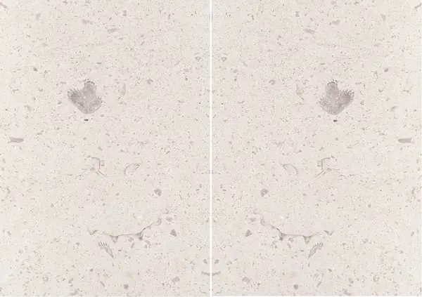 حجر جيري فرنسي من ماسانجيس مطابقة ربع كتاب