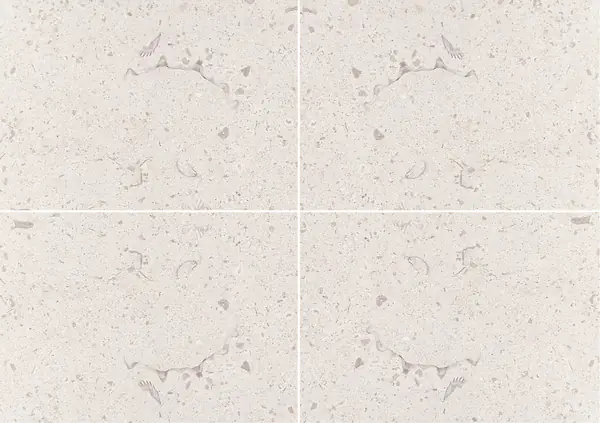 حجر جيري فرنسي من ماسانجيس عروق متتابعة