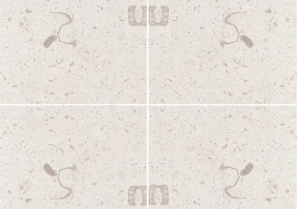 حجر جيري فرنسي من ماسانجيس عروق غير متطابقة