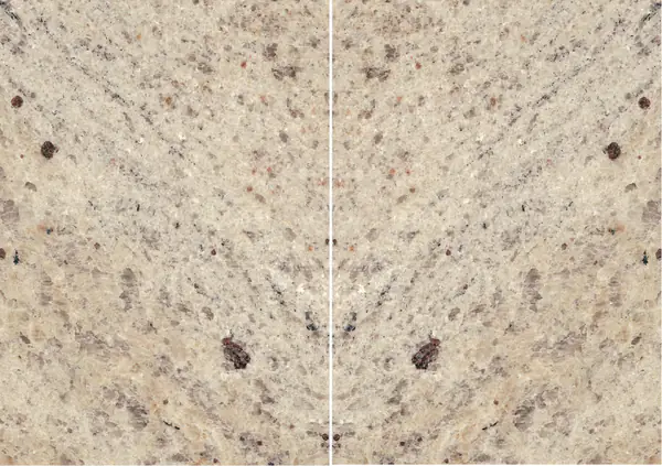 جرانيت ميلينيوم دريم لايت الهندي مطابقة ربع كتاب