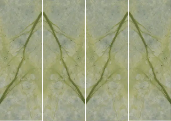 رخام مينغ الأخضر الصيني غير مطابق