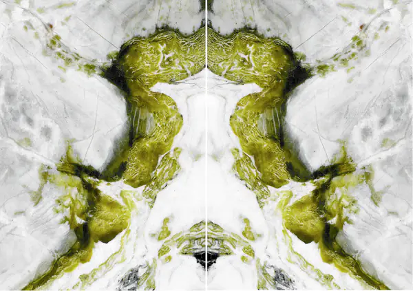 رخام صيني أبيض ضبابي مطابقة ربع كتاب