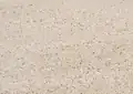 Moca Creme Portuguese Limestone