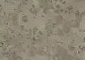 Moon Grey French Limestone