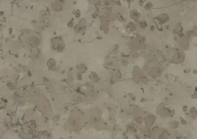 moon grey french limestone