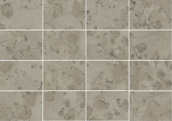 حجر الكلس الفرنسي الرمادي القمري مطابقة كتاب مفتوح