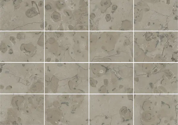 حجر الكلس الفرنسي الرمادي القمري مطابقة كتاب مزدوج مفتوح