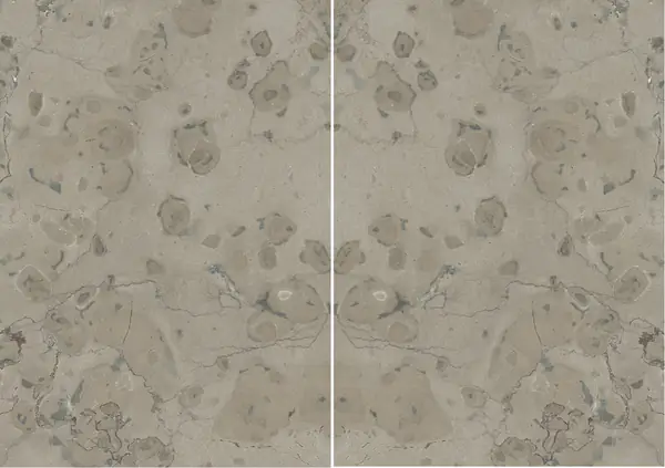 حجر الكلس الفرنسي الرمادي القمري مطابقة ربع كتاب