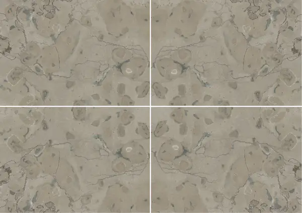 حجر الكلس الفرنسي الرمادي القمري عروق متتابعة