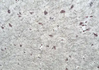 moon white indian granite