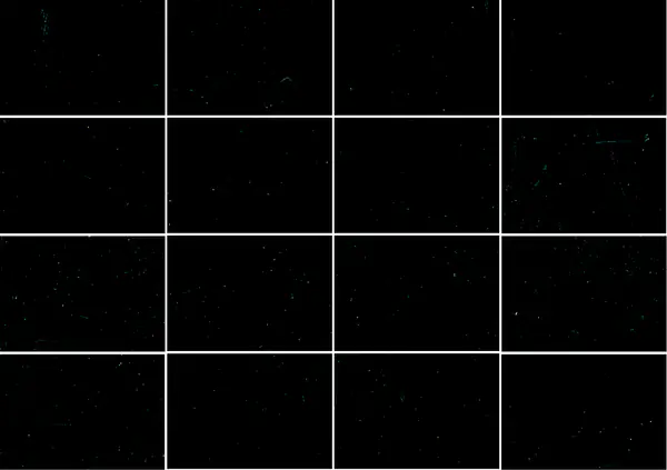 رخام نيرو بلجيو البلجيكي مطابقة كتاب مفتوح