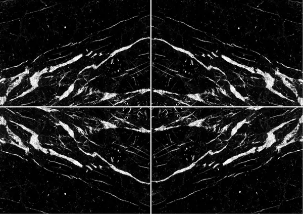 رخام نيرو ماركينا فيناتو الإسباني عروق متتابعة